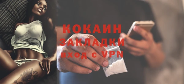 крисы Аркадак