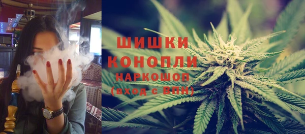 крисы Аркадак