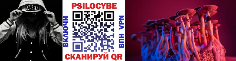 Псилоцибиновые грибы Magic Shrooms  купить  цена  Кубинка 